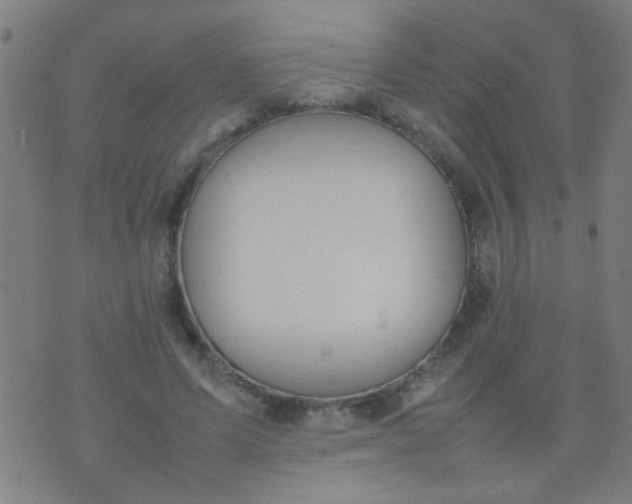 X0000074290591200609081854