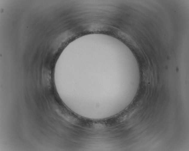 X0000074290592200609081854