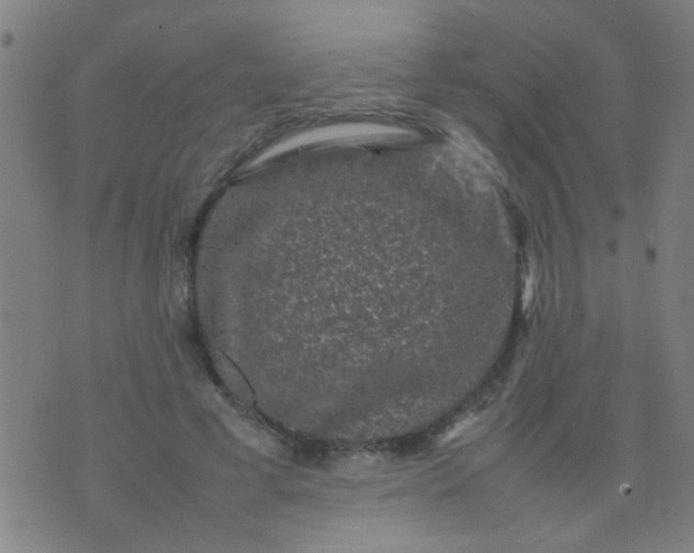 X0000074290593200609081854