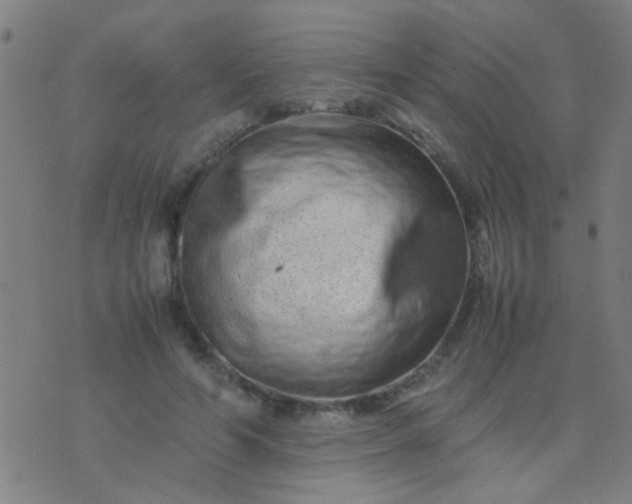 X0000074290594200609081854