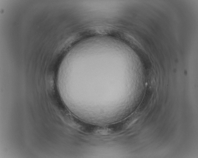 X0000074290595200609081854