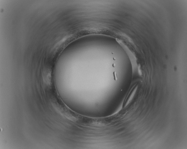 X0000074290596200609081854