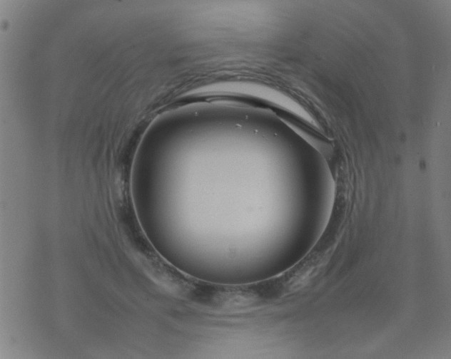 X0000074290597200609081854