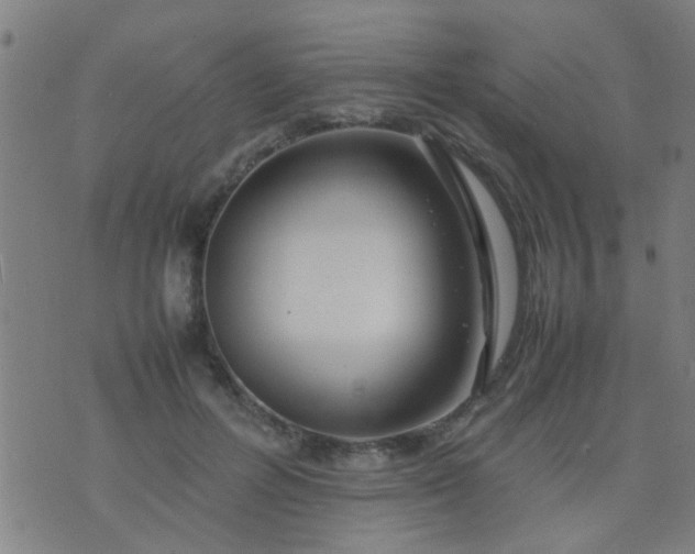 X0000074290600200609081854