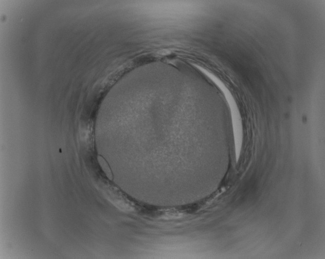 X0000074290601200609081854