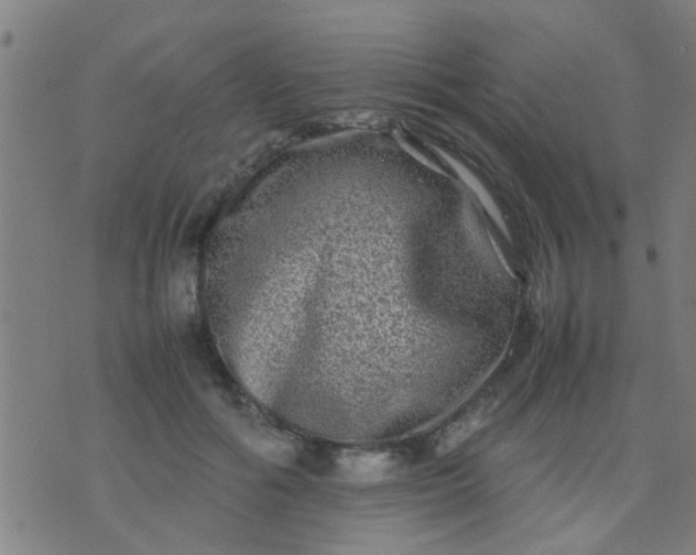 X0000074290602200609081854