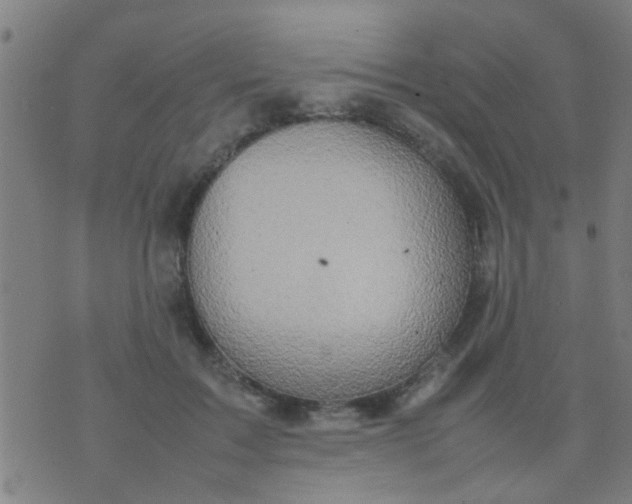 X0000074290603200609081854