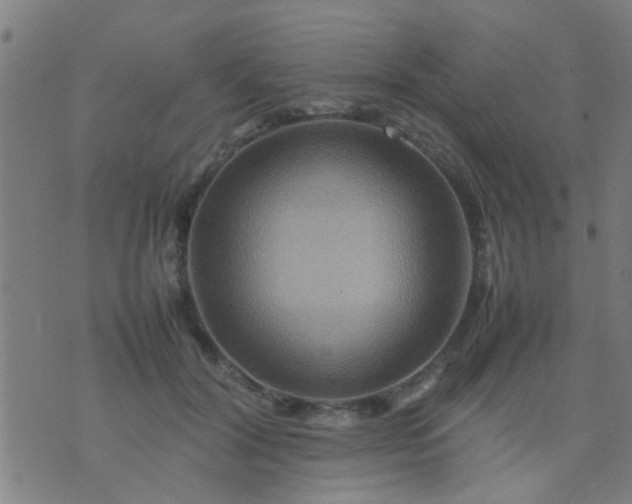 X0000074290604200609081854