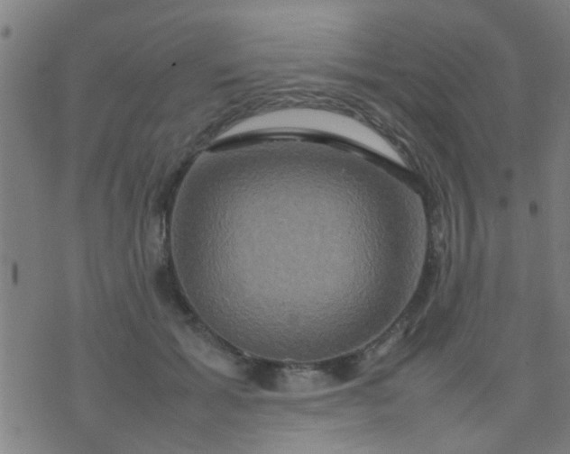 X0000074290605200609081854