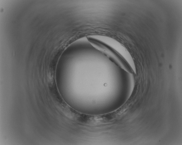 X0000074290607200609081854