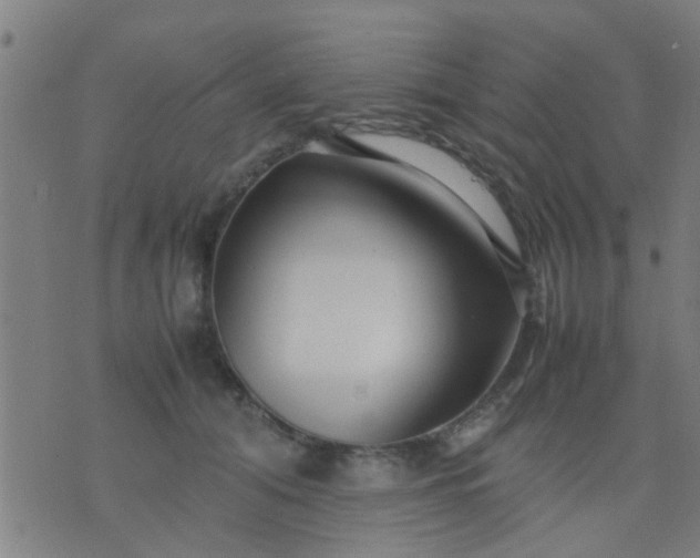 X0000074290608200609081854