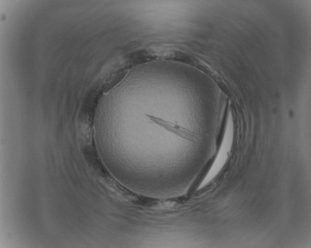 X0000074290609200609081854