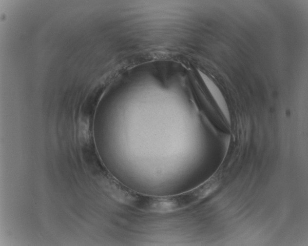 X0000074290610200609081854