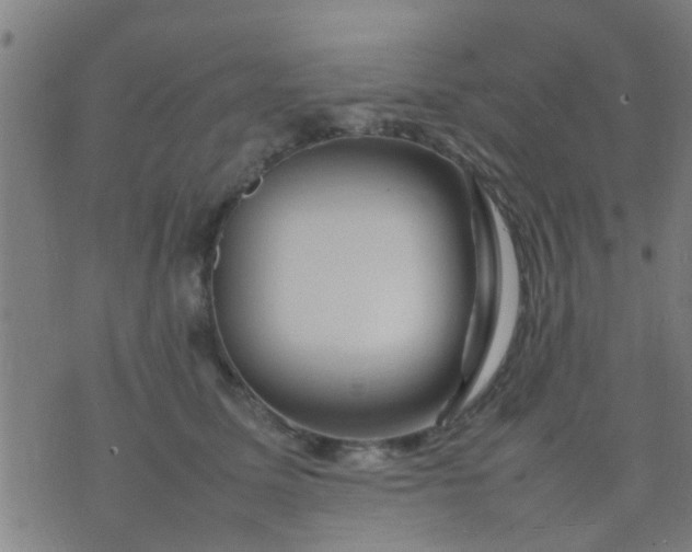 X0000074290611200609081854