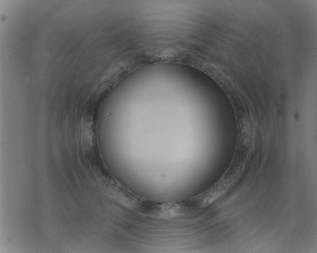 X0000074290612200609081854