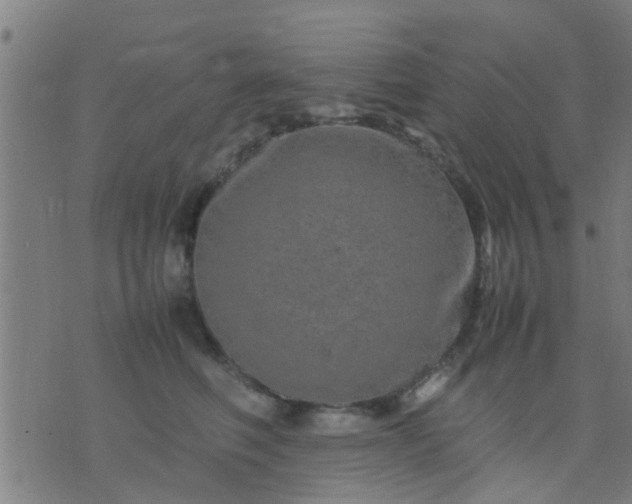 X0000074290614200609081853