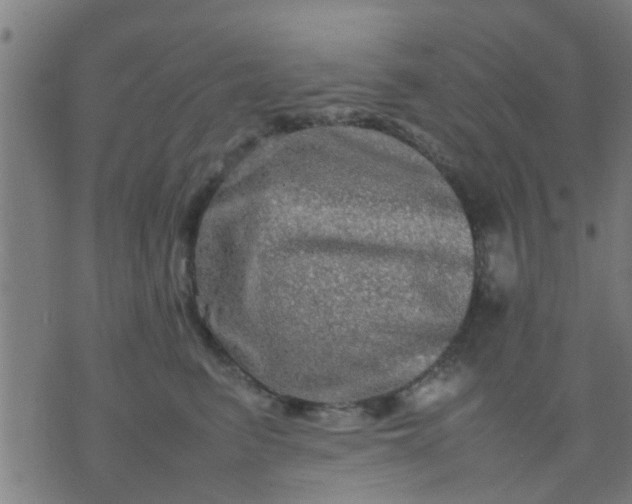 X0000074290615200609081853