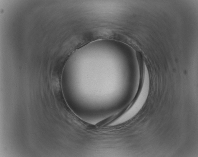 X0000074290617200609081853