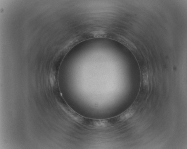 X0000074290618200609081853