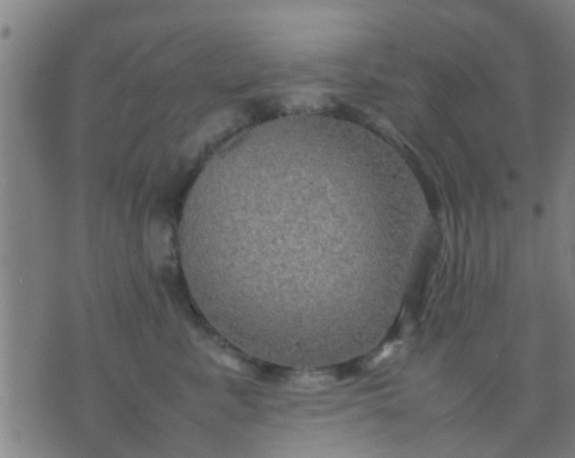 X0000074290619200609081853