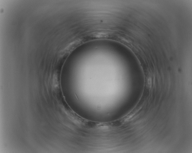 X0000074290620200609081853