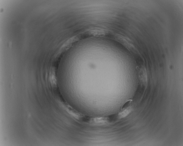 X0000074290622200609081853