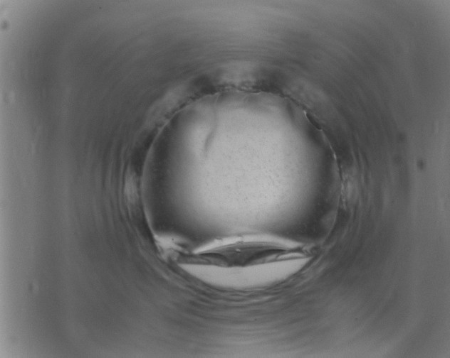 X0000074290623200609081853