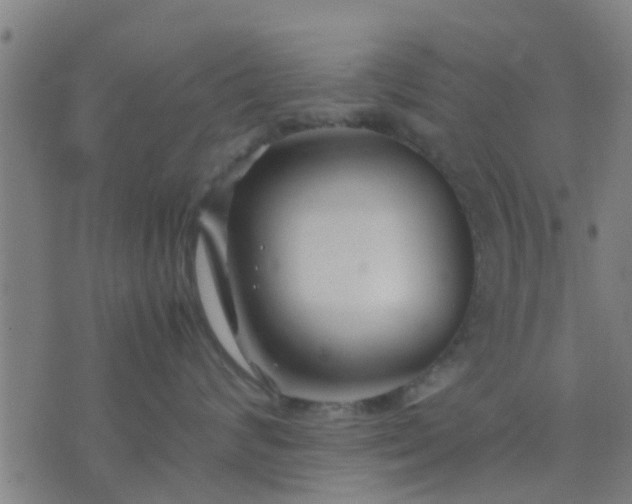 X0000074290624200609081853