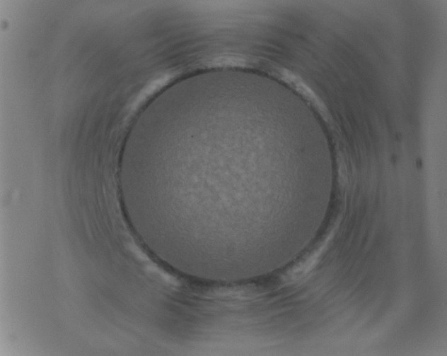 X0000074290625200609081853