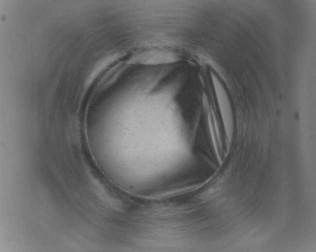 X0000074290626200609081853