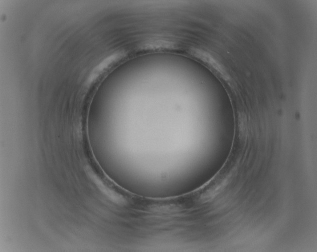 X0000074290629200609081853