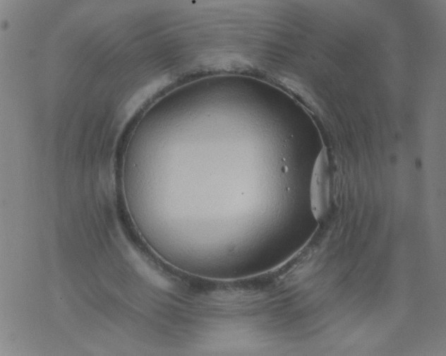 X0000074290630200609081853