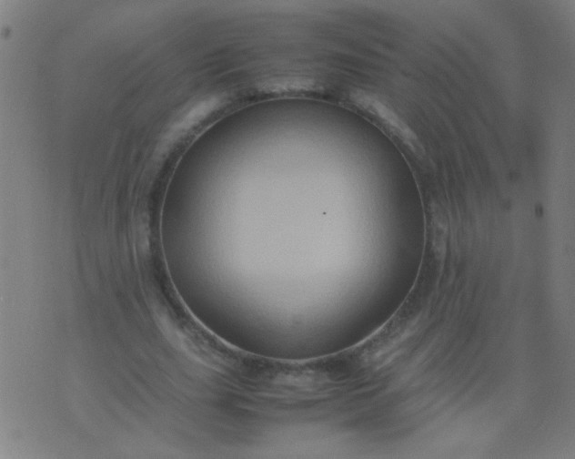 X0000074290631200609081853