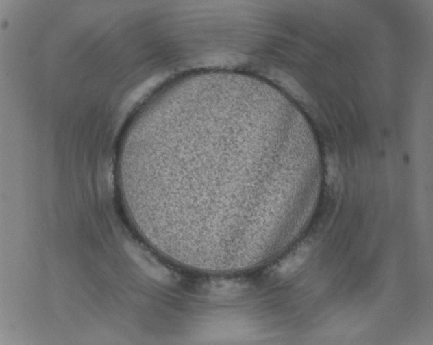 X0000074290632200609081853