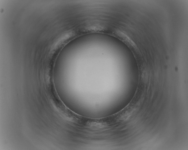 X0000074290635200609081853