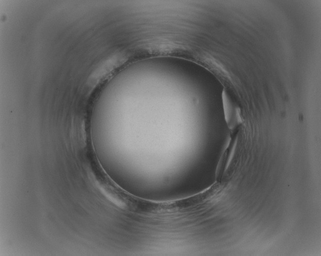 X0000074290638200609081853