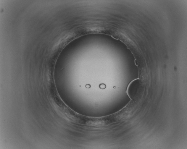 X0000074290639200609081853