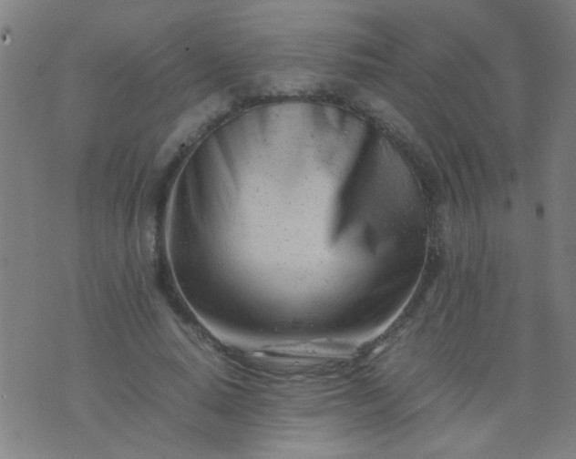 X0000074290640200609081853