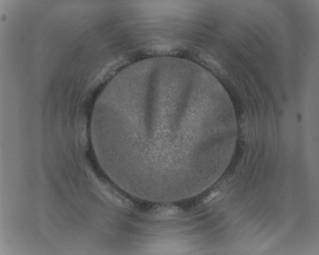 X0000074290642200609081853