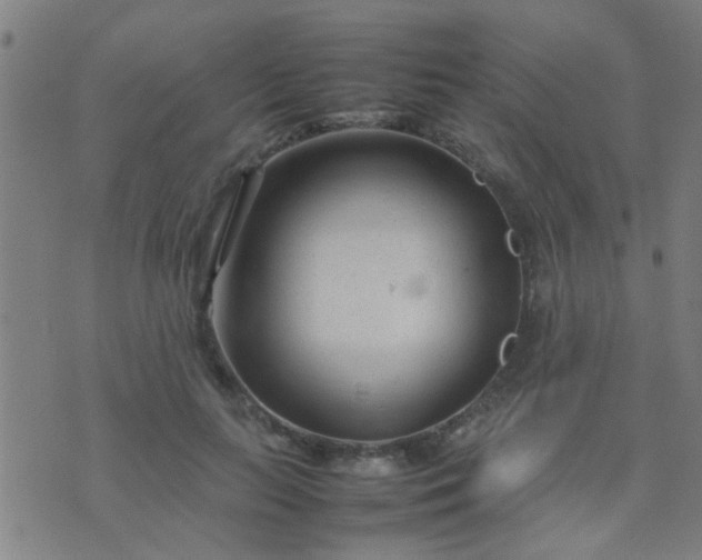 X0000074290647200609081853