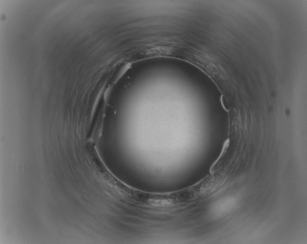 X0000074290649200609081853