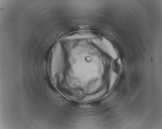 X0000074290650200609081853