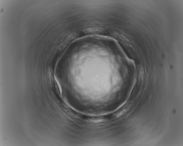 X0000074290651200609081853