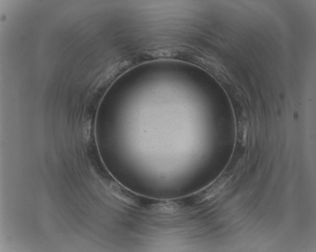 X0000074290652200609081853