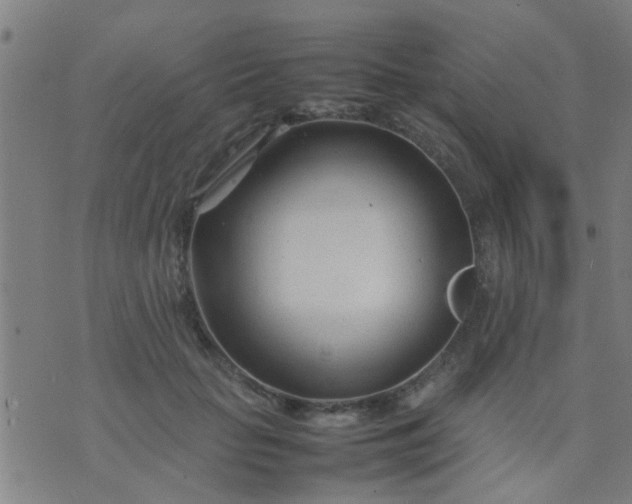 X0000074290653200609081853