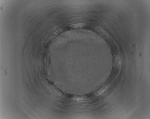 X0000074290655200609081853