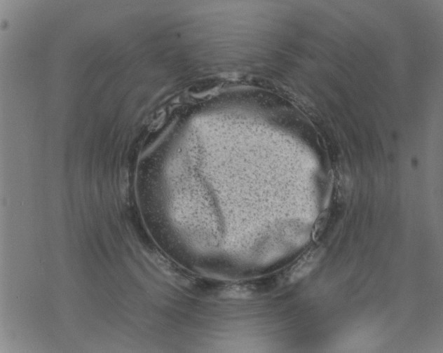 X0000074290656200609081853