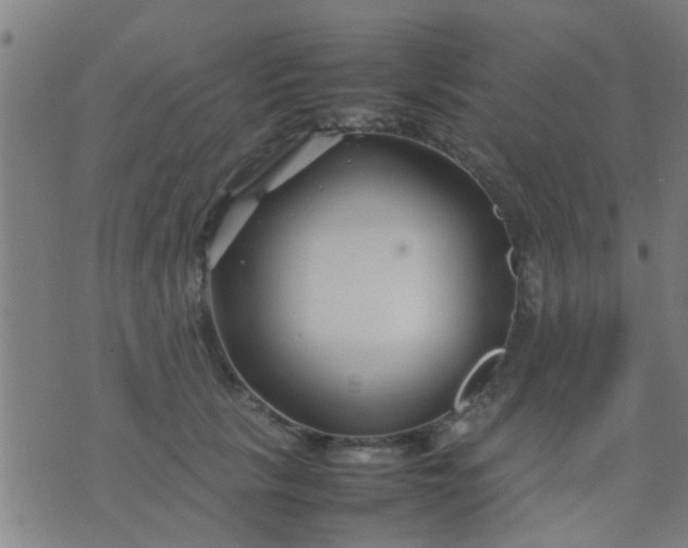 X0000074290657200609081853