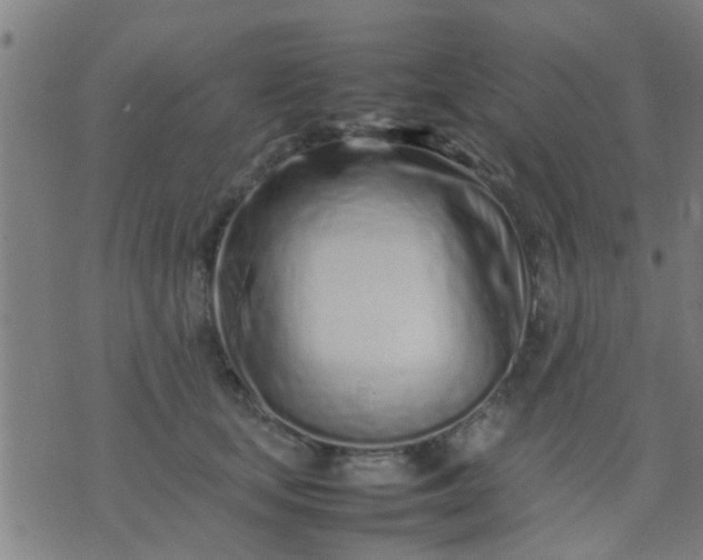 X0000074290659200609081853