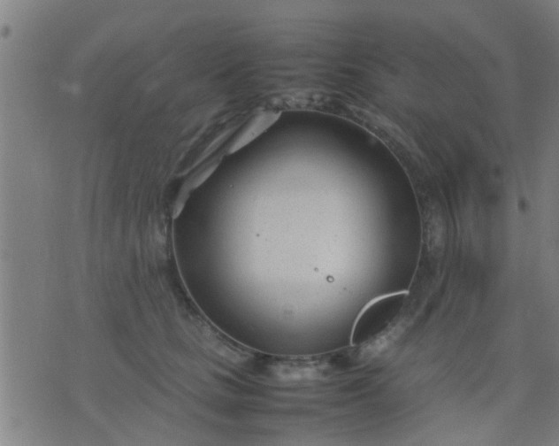 X0000074290661200609081853